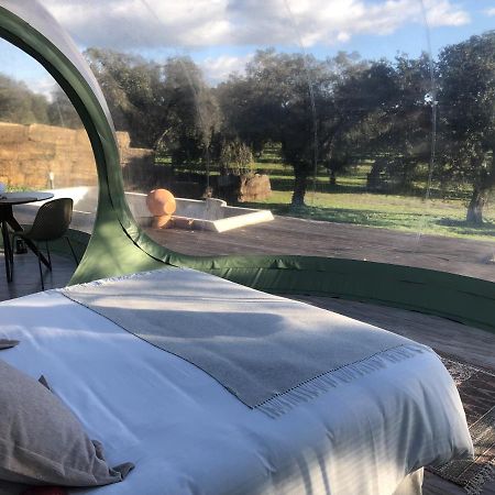 Parrillas El Toril Glamping Experienceヴィラ エクステリア 写真