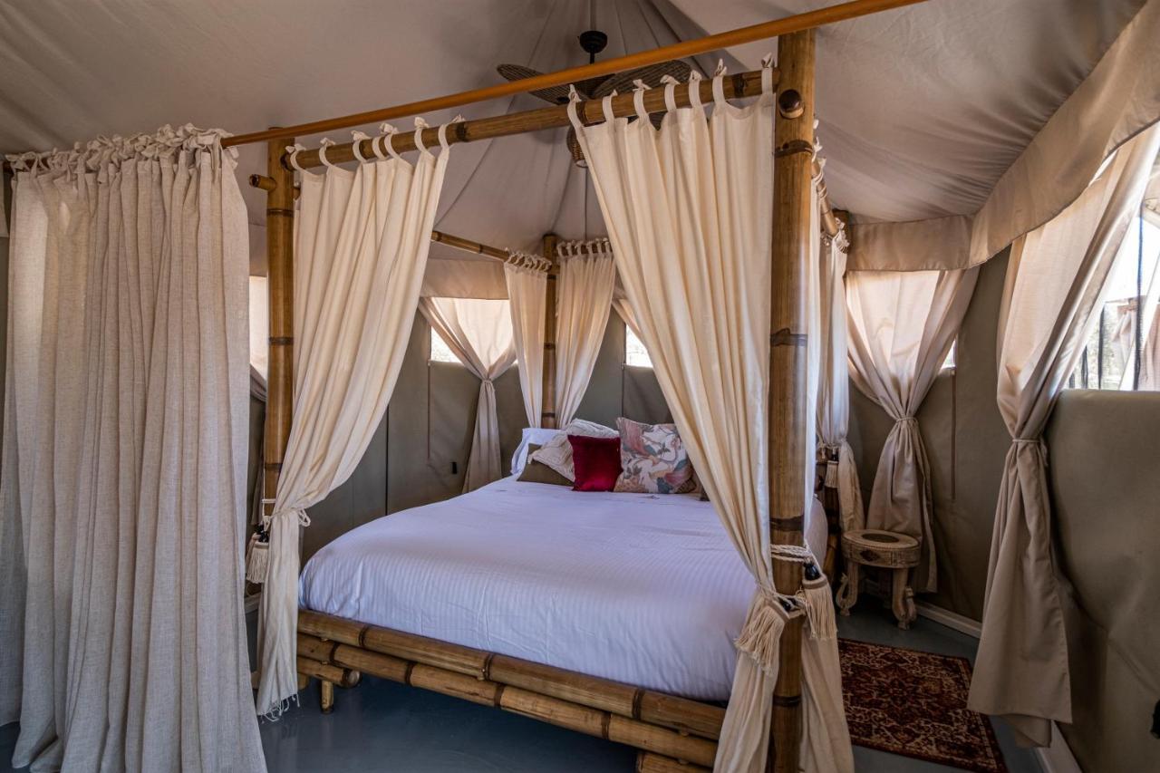 Parrillas El Toril Glamping Experienceヴィラ エクステリア 写真