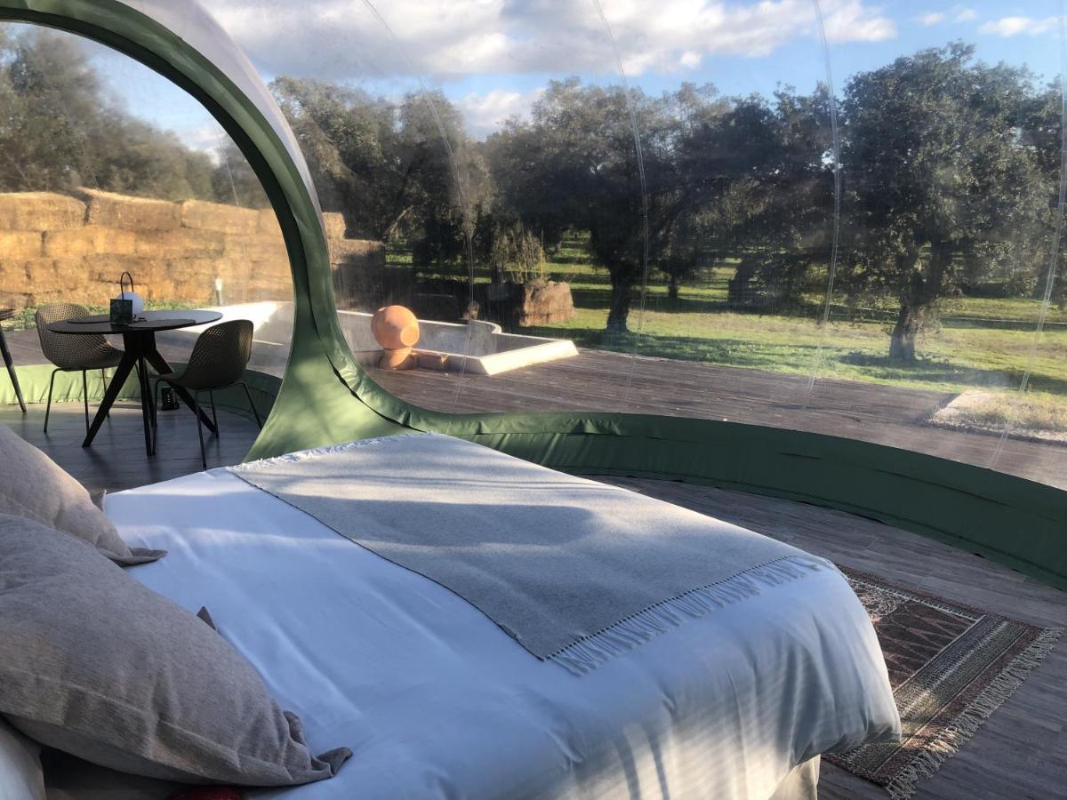 Parrillas El Toril Glamping Experienceヴィラ エクステリア 写真