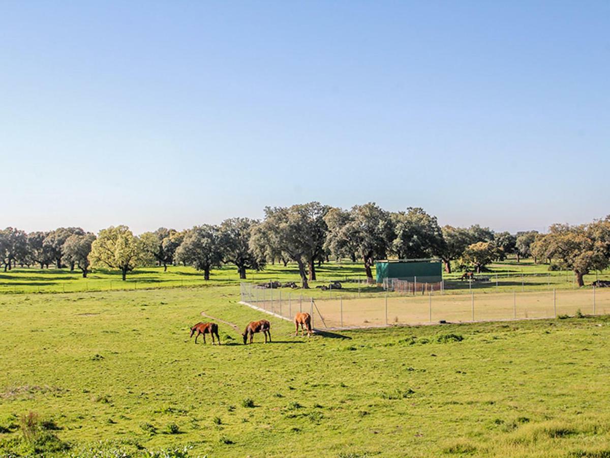 Parrillas El Toril Glamping Experienceヴィラ エクステリア 写真